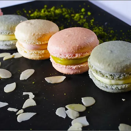 Glamping Festa Kornati Lüks kamp alanı