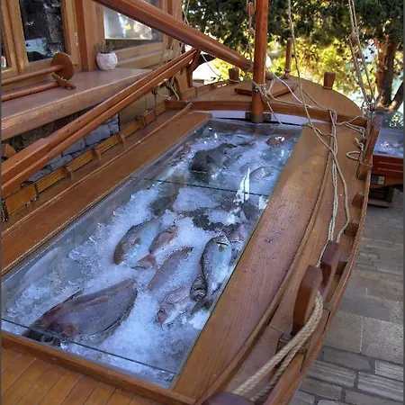 Luxusní stan Glamping Festa Kornati Pristanisce