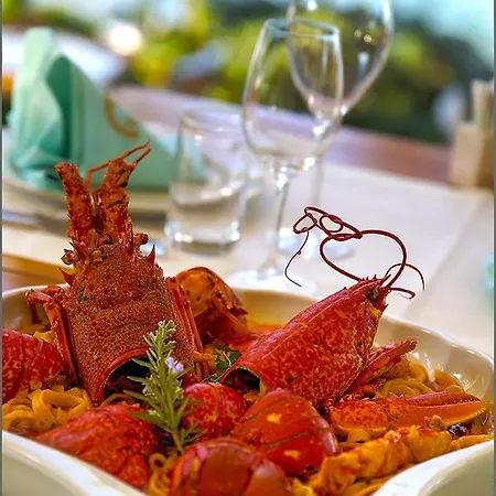 Luxusní stan Glamping Festa Kornati *