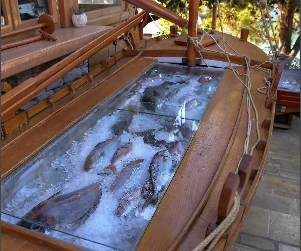 Luksuzni šator Glamping Festa Kornati Pristanisce